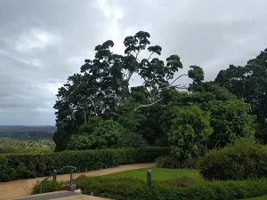 Buderim