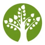 Noosa Tree Lopping Company