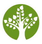 Noosa Tree Lopping Company