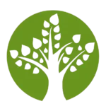 Noosa Tree Lopping Company