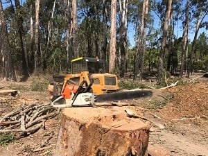 Stump removal Noosa qld