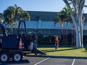 Tree care Noosa qld