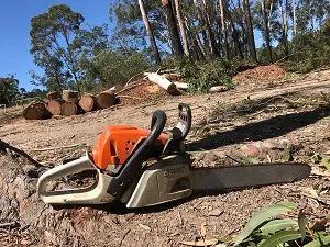 Tree removal Noosa qld
