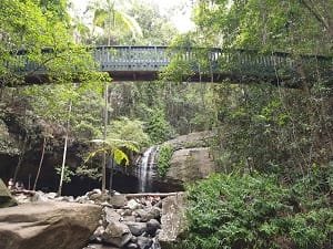 Buderim Forest Park