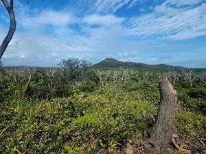 Mount Peregian