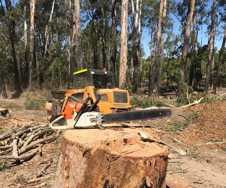 Stump extraction Noosa