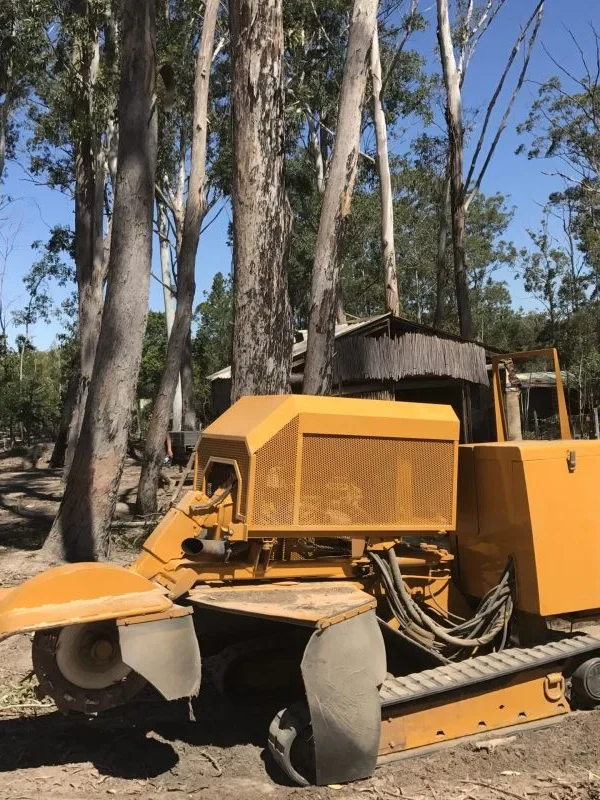 Stump grinding Buderim Stump grinding Buderim