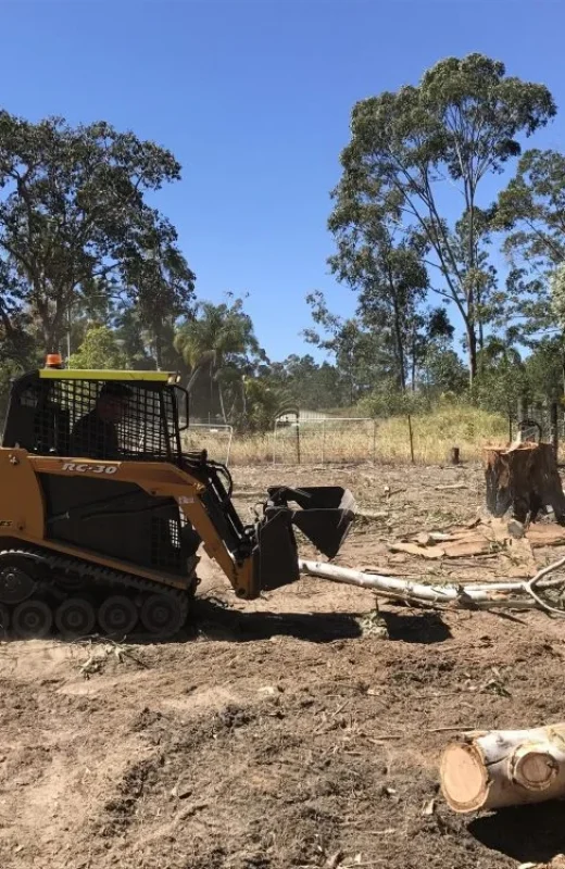 Tree clearing Noosa Tree clearing Noosa